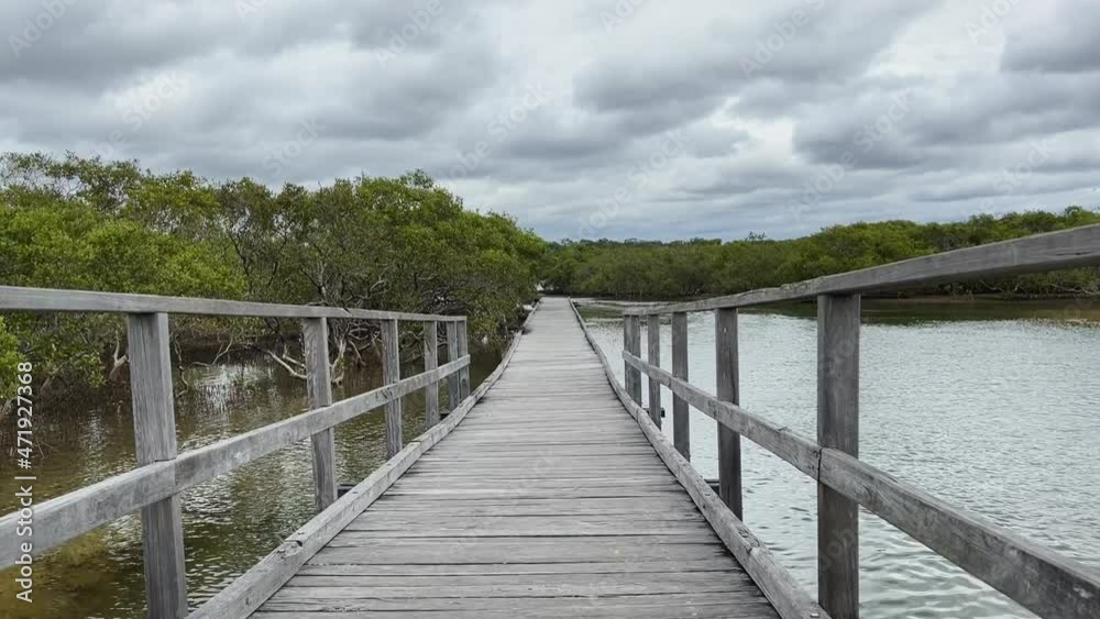 A walk along a wooden boardwalk next to the mangrove forests and a river channel with a current returning after high tide taken on a clear but overcast day. A walk along a wooden boardwalk next to the mangrove forests and a river channel with a current returning after high tide taken on a clear but overcast day.