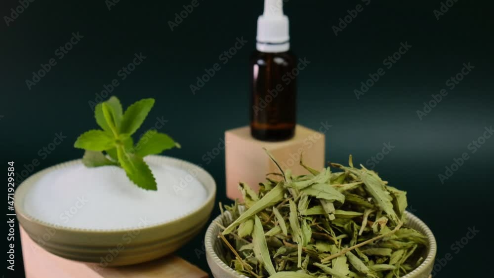 Dried stevia leaves, green branch in stevia powder and stevia liquid extract on wooden podiums on a dark green background.Organic natural sweetener.Stevia rebaudiana. 4k footage Dried stevia leaves, green branch in stevia powder and stevia liquid extract on wooden podiums on a dark green background.Organic natural sweetener.Stevia rebaudiana. 4k footage