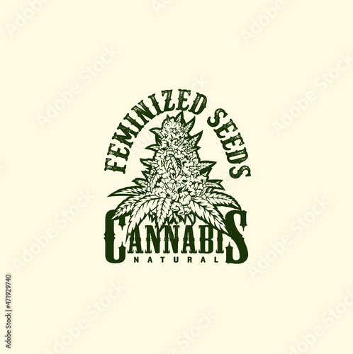 Vintage cannabis flower label template Free Vector