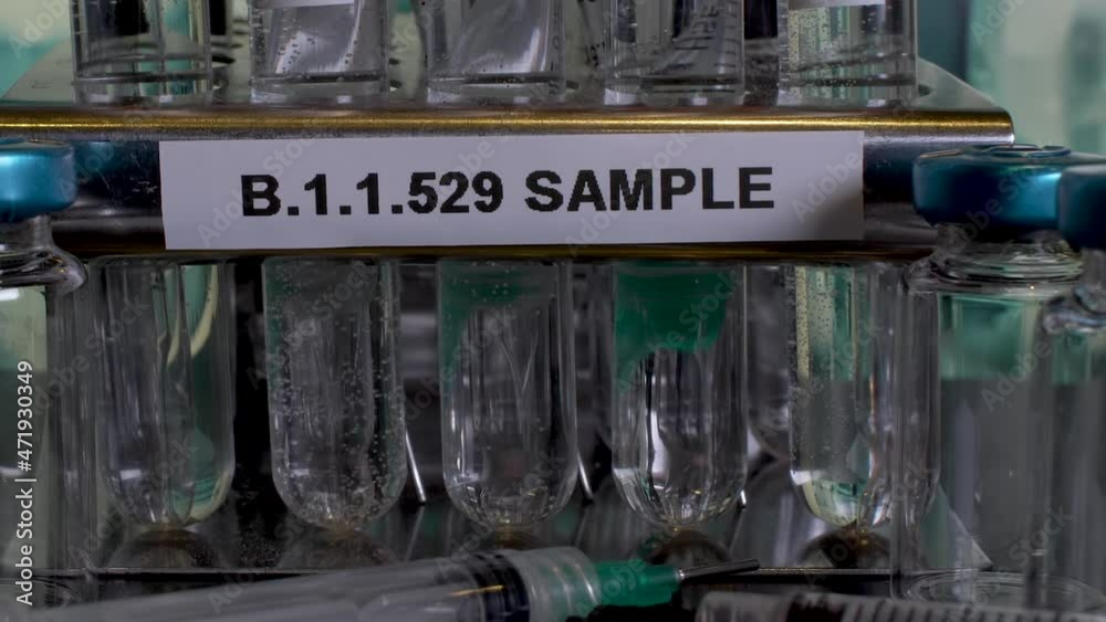 B.1.1.529 Sample Test Tube Vials In Rack. Close Up, Pan Up B.1.1.529 Sample Test Tube Vials In Rack. Close Up, Pan Up