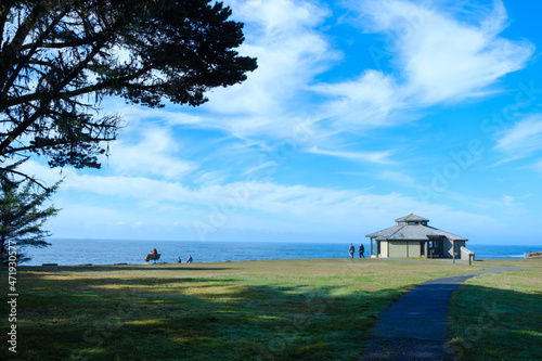 Amazing view of the Pacific and cliffs near the Observation Building at Shore Acres State Park photo