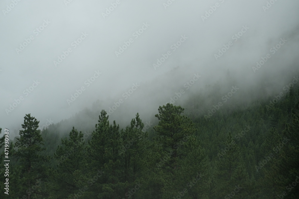 Foggy Views of Mountains in Estes Park, Colorado