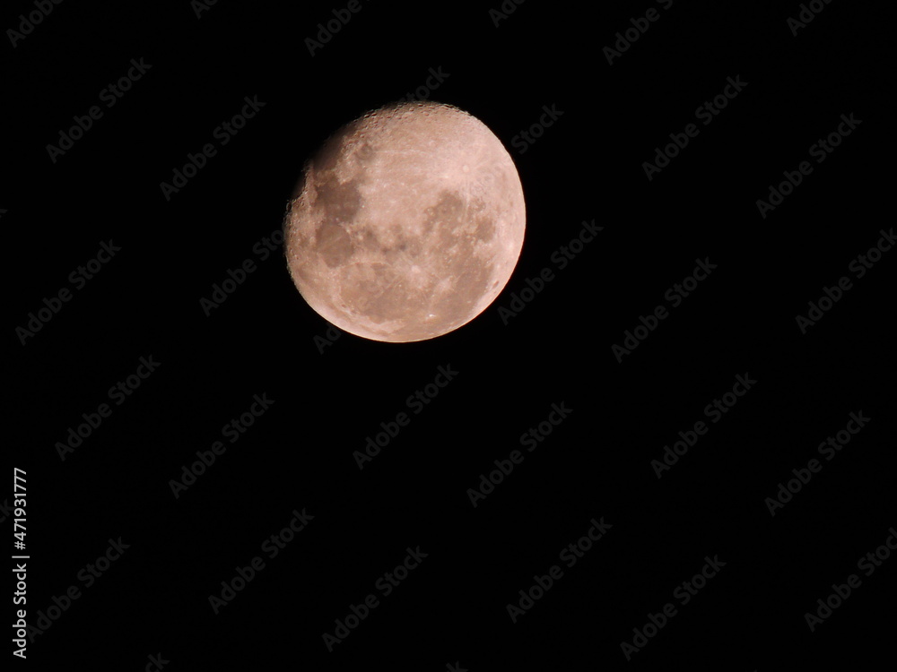 Fototapeta premium luna creciente