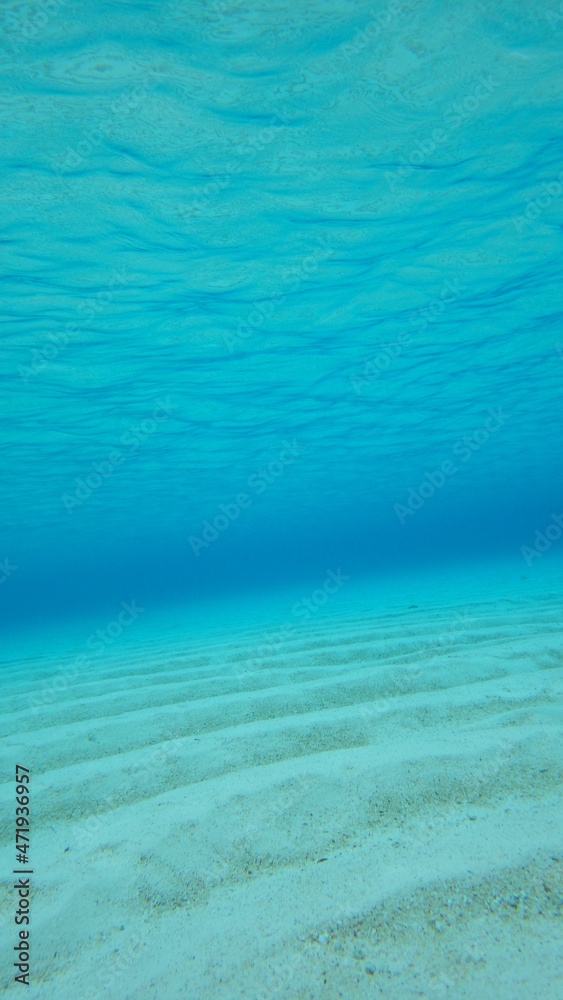 Obraz premium 【グラフィック素材】エメラルドグリーンの海中風景と砂紋