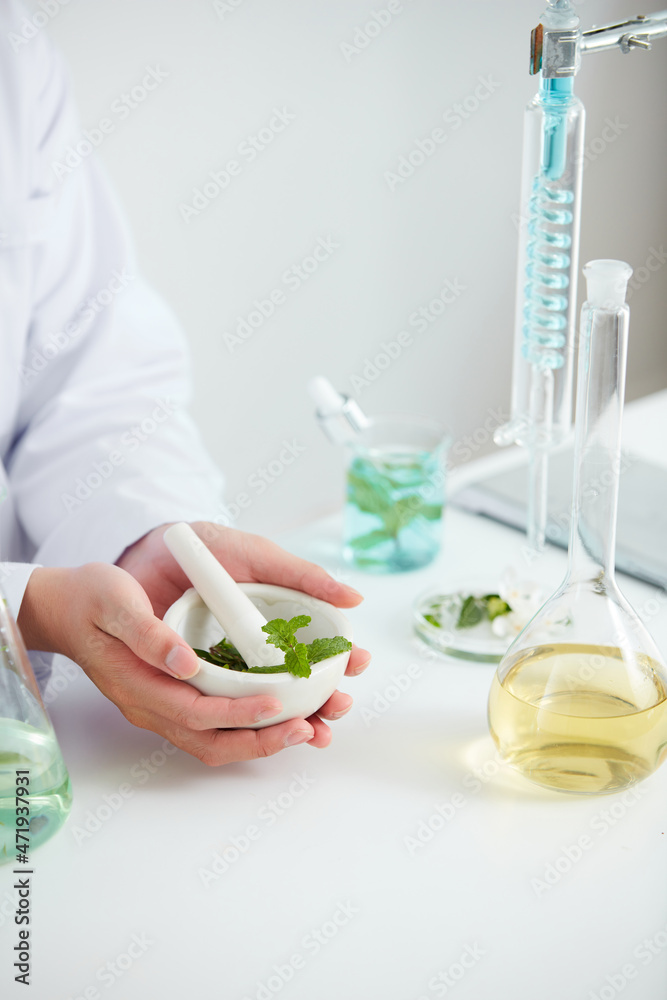 Naklejka premium Plants and flowers extract in petri dish and a white background in laboratory , green leaf in a test tube and doctor for cosmetic advertising , photography science concept