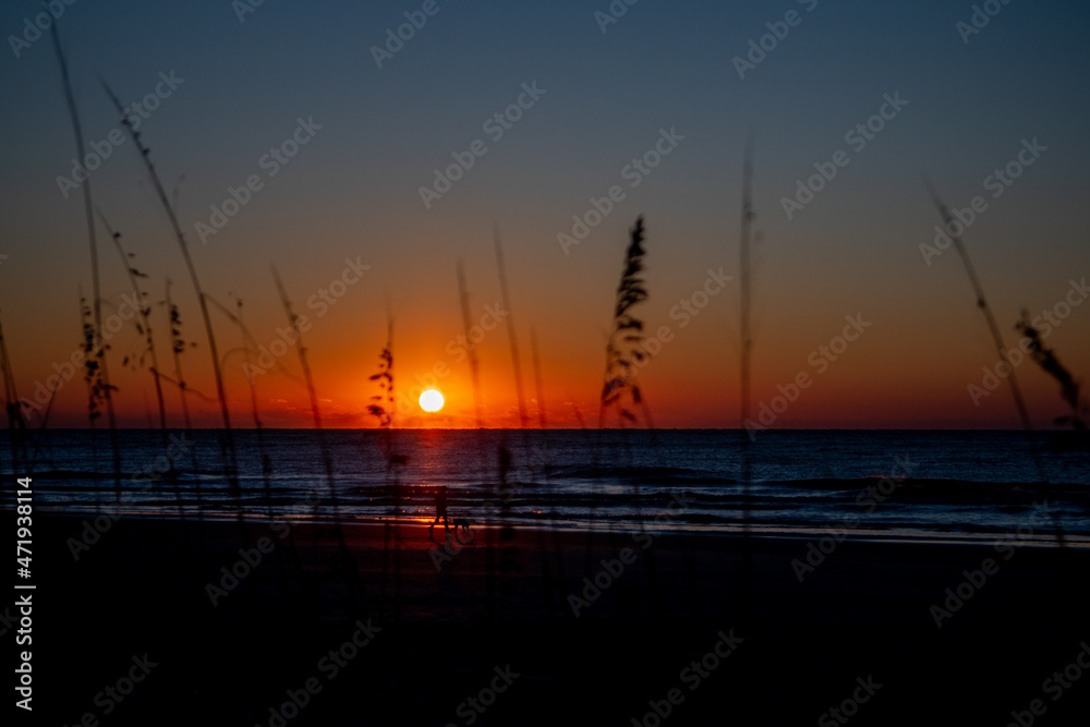 Man walking dog on beach silhouetted against sunrise sunset reflection over ocean water Man walking dog on beach silhouetted against sunrise sunset reflection over ocean water