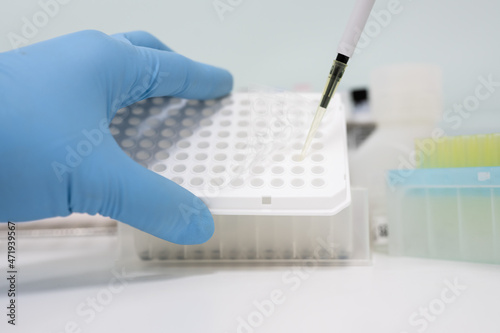 Selective focus pipette putting sample in the plate for taking immunochemistry and reagent bottle on white table background for laboratory analysis..Conceptual image COVID-19 test tube sample.