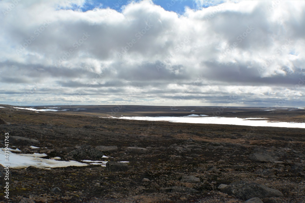 northern seppet of taimyr northern seppet of taimyr