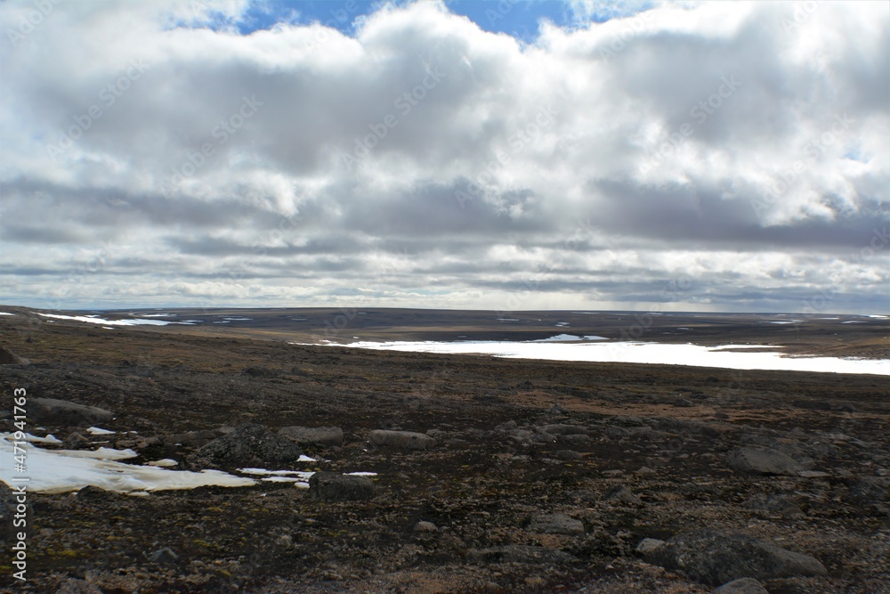 northern seppet of taimyr