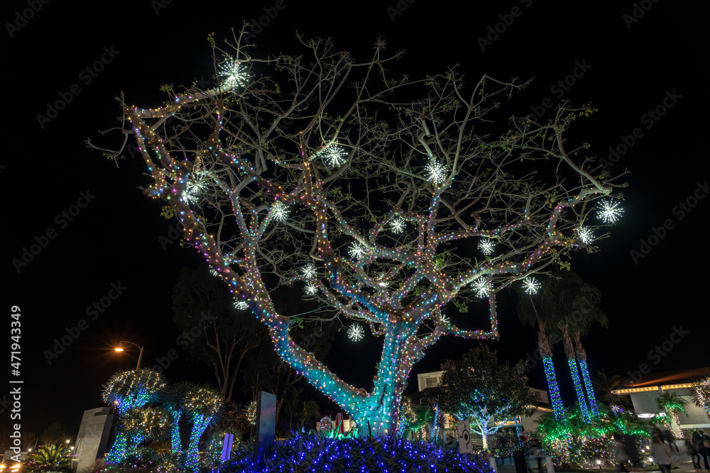 Tree Decoration with Holidays Lights  
