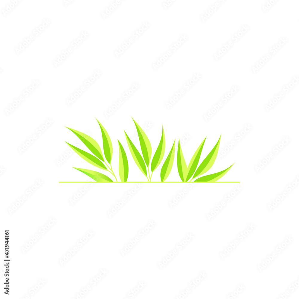 Obraz premium leaf green grass isolated on white