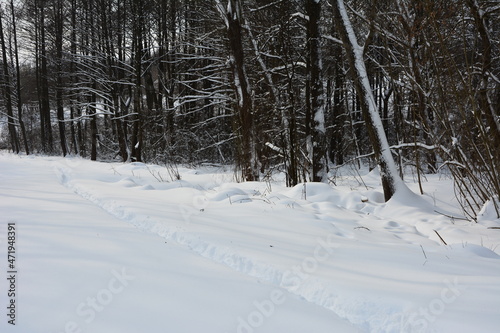 Winter scenery - narrow pathway through the deep snow