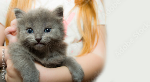 A girl holds a kitten, a stray kitten found by a girl and sheltered.