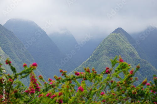 tropical landscape with flowers, mountains and clouds on the island of la réunion france