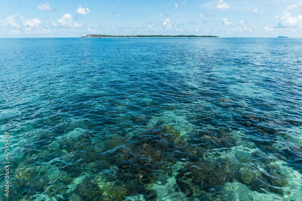 Fototapeta premium beautiful view of the clear turquoise and blue sea water as well as the rocky bottom surface of the coral and seaweed