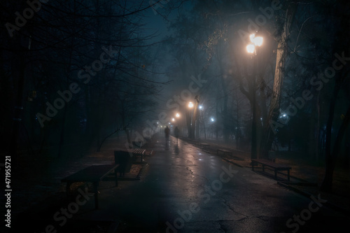 Street lights foggy misty night lamp post lanterns city road. Night fog park scenery with abstract blurred people silhouette