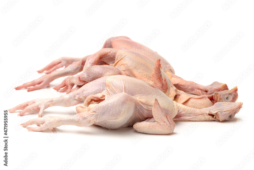 Raw chicken on ah white background