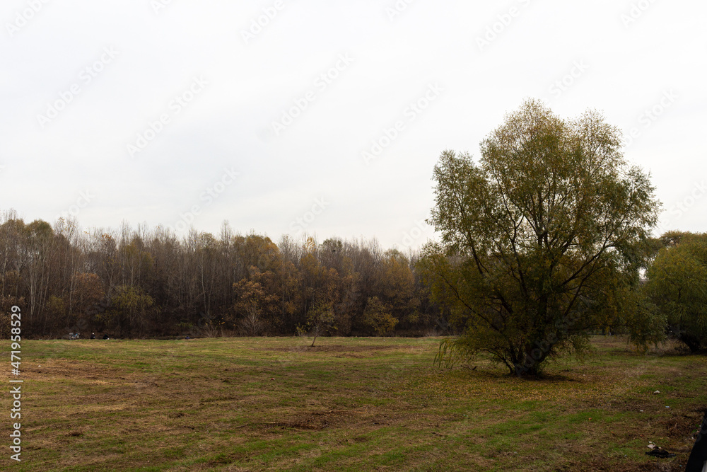 Landscape near to a river with trees and sky with dense clouds