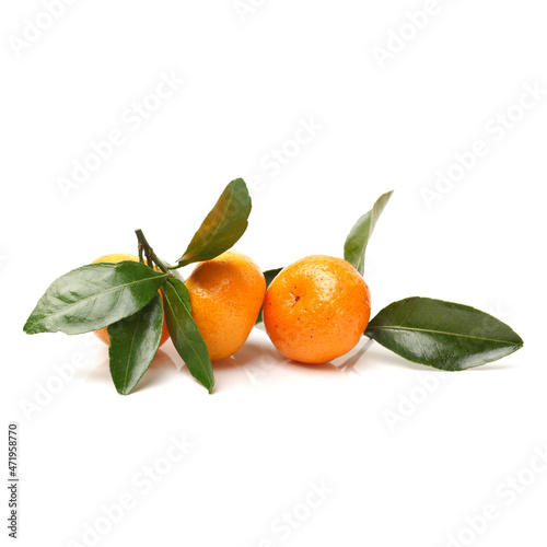 tangerine or mandarin orange on white background 