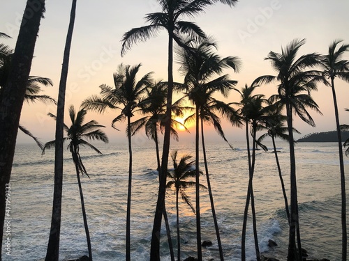 sunset on the beach with coconut trees