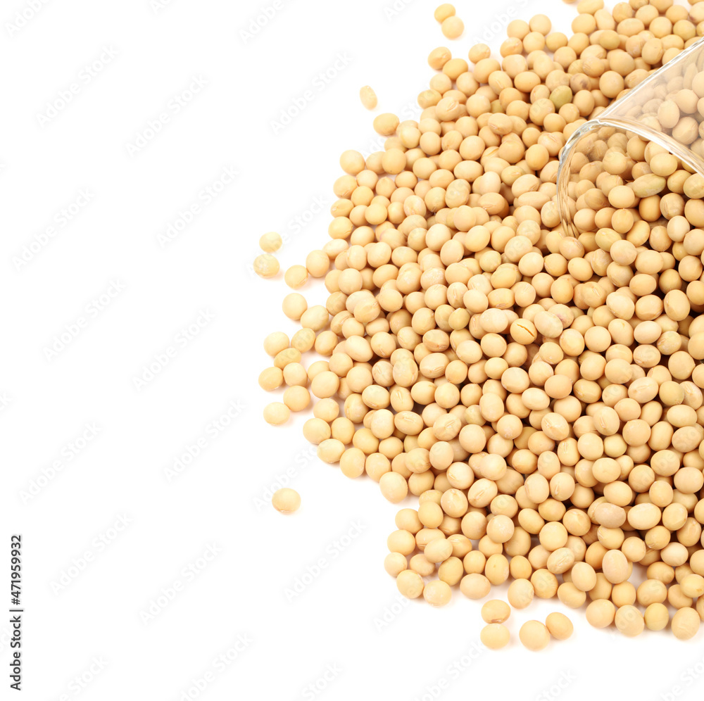 gold soybean isolated on white background gold soybean isolated on white background