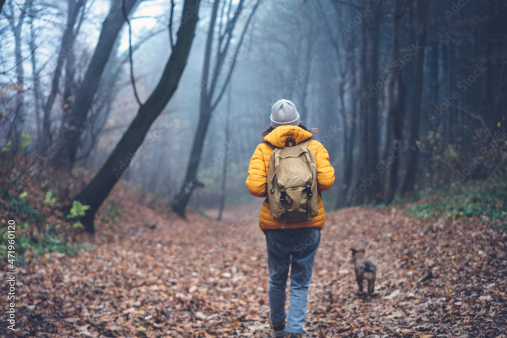 Young woman in a yellow jacket walking traveling with her dog in the autumn foggy forest