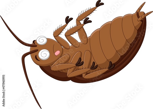 Cartoon dead cockroach on white background