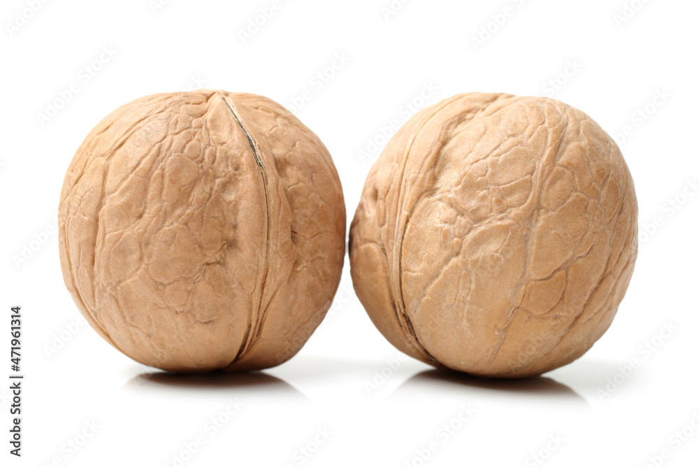 walnuts on white background walnuts on white background