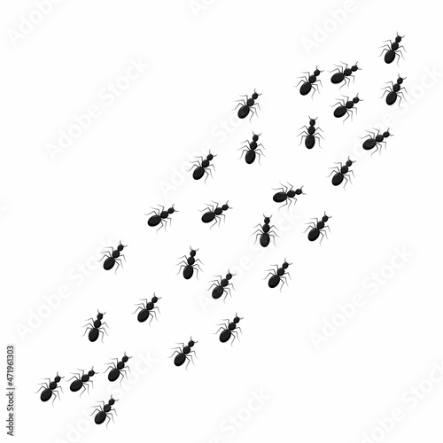Ant vector trail marching illustration. A line of worker ants marching in search of food. Ant bug pest control background teamwork.