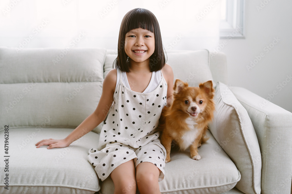 Portrait of cute little girl caressing her dog chihuahua sitting on couch smiling and looking at camera together in living room at  home. Concept of friendship between child and dog.