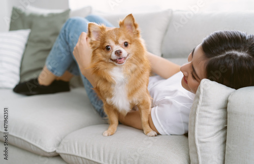 Photographie Portrait of beautiful young Asian woman lying on sofa with brown pretty chihuahua pet dog looking at camera in living room of her cozy house
