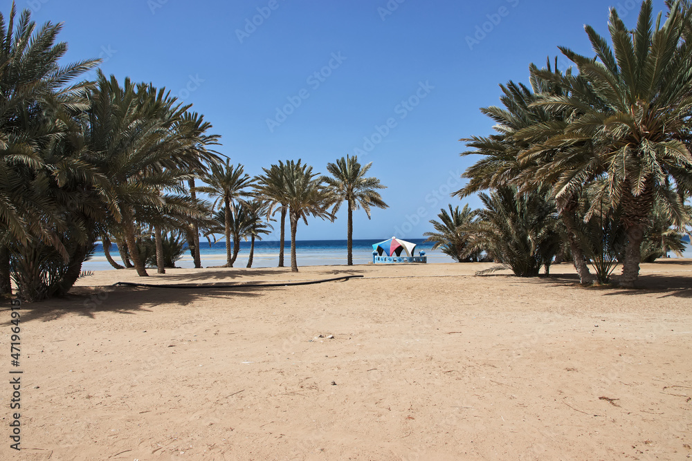 The beach of Red sea, Saudi arabia