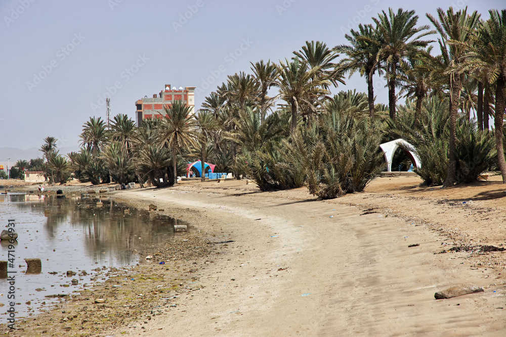The beach of Red sea, Saudi arabia The beach of Red sea, Saudi arabia