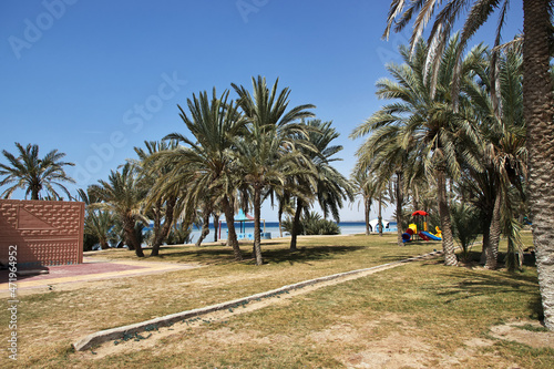 The beach of Red sea, Saudi arabia