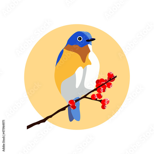 animalistic template. vector illustration on a floral motive. the beginning of spring. image of birds on a branch. Perfect for a poster, cover or postcard.