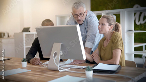 start-up in a team of three people working on a project