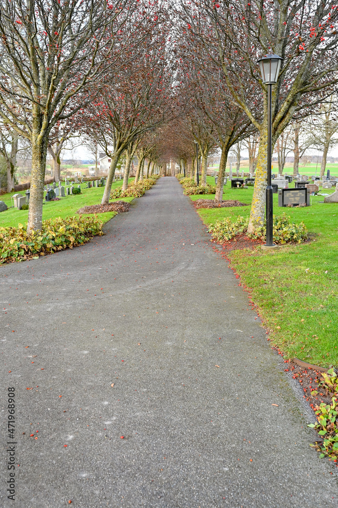 path through cemetery with grass gravestones in november