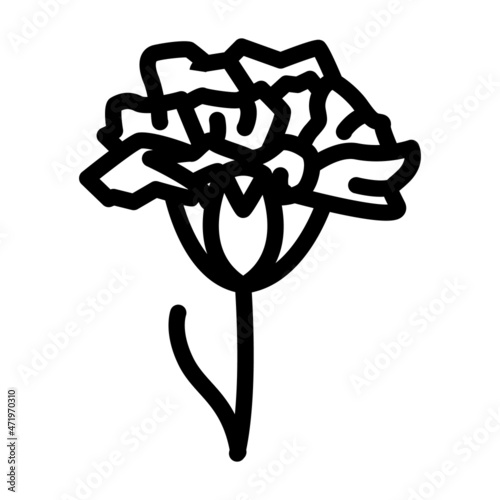 carnation flower line icon vector. carnation flower sign. isolated contour symbol black illustration