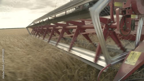 Large combine header mows the wheat. Big harvest reaper working in field.