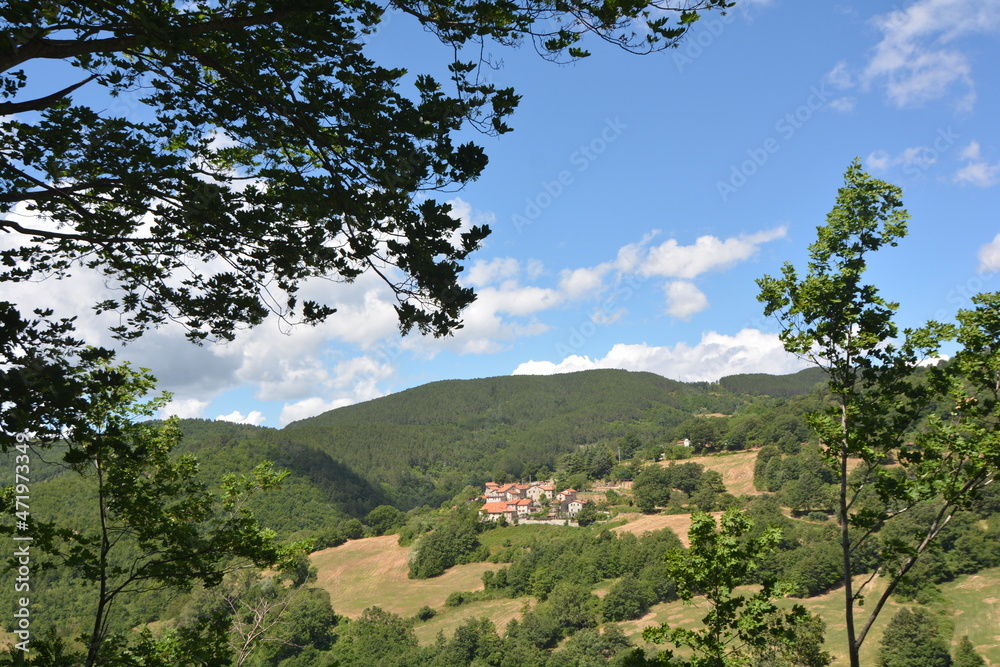 appennino toscano localià foresta del casentino