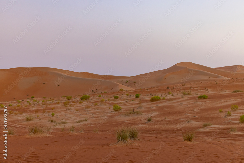 Orange sands desert resort in the Empty Quarter (Rub' al Khali) area of Abu Dhabi, United Arab Emirates