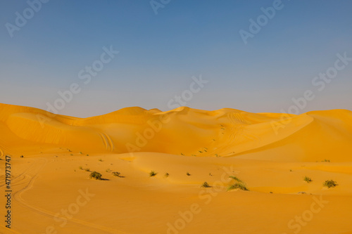 Orange sands desert resort in the Empty Quarter  Rub  al Khali  area of Abu Dhabi  United Arab Emirates