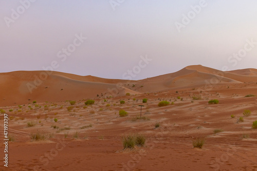Orange sands desert resort in the Empty Quarter (Rub' al Khali) area of Abu Dhabi, United Arab Emirates