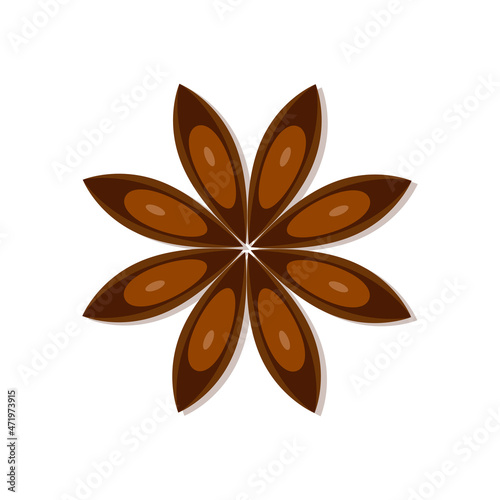 Star anise and anise seeds symbol of Christmas vector illustration in flat design isolated on white background. Vector illustration