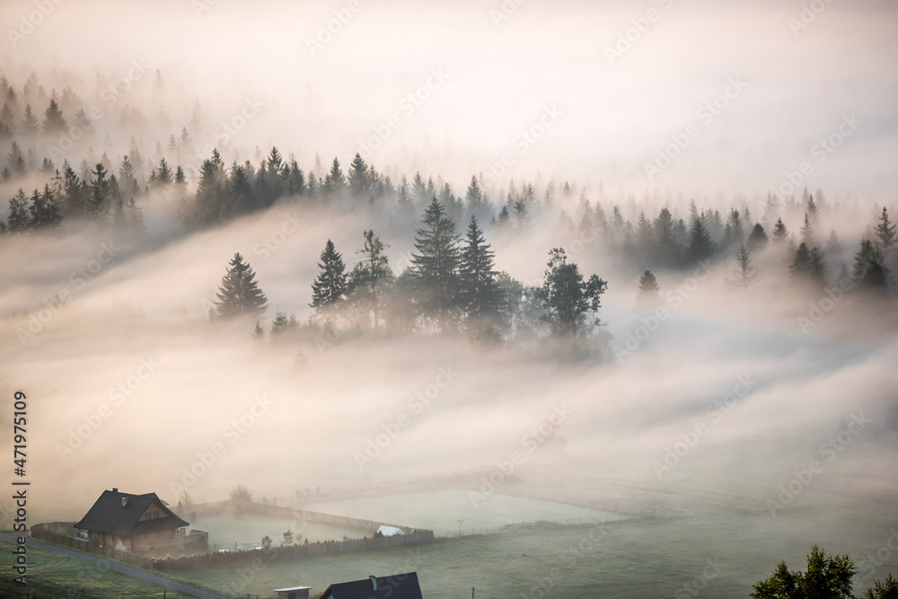 Obraz na płótnie fog in the mountains w salonie