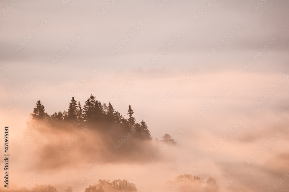 fog in the mountains - obrazy, fototapety, plakaty 