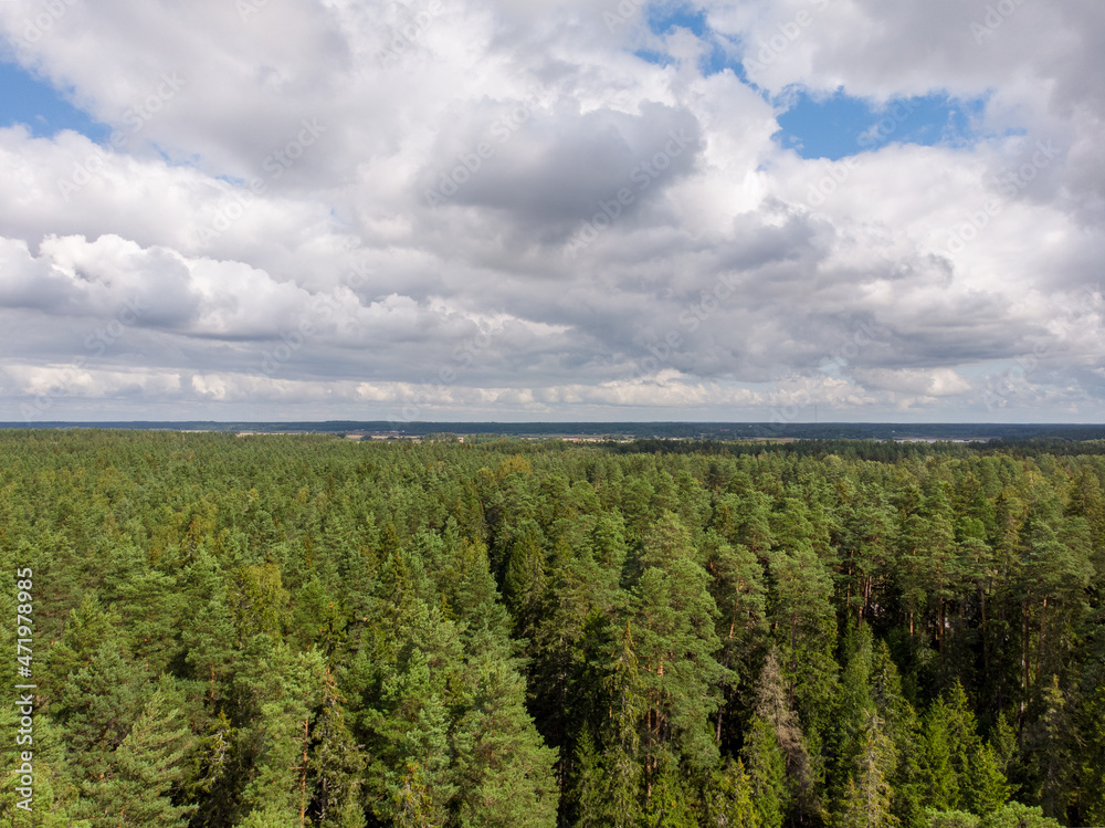 Areal drone birds eye view of countryside pine forest trees and cloudy overcast sky.