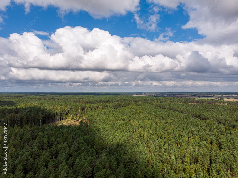 Areal drone photography view of beautiful countryside forest.