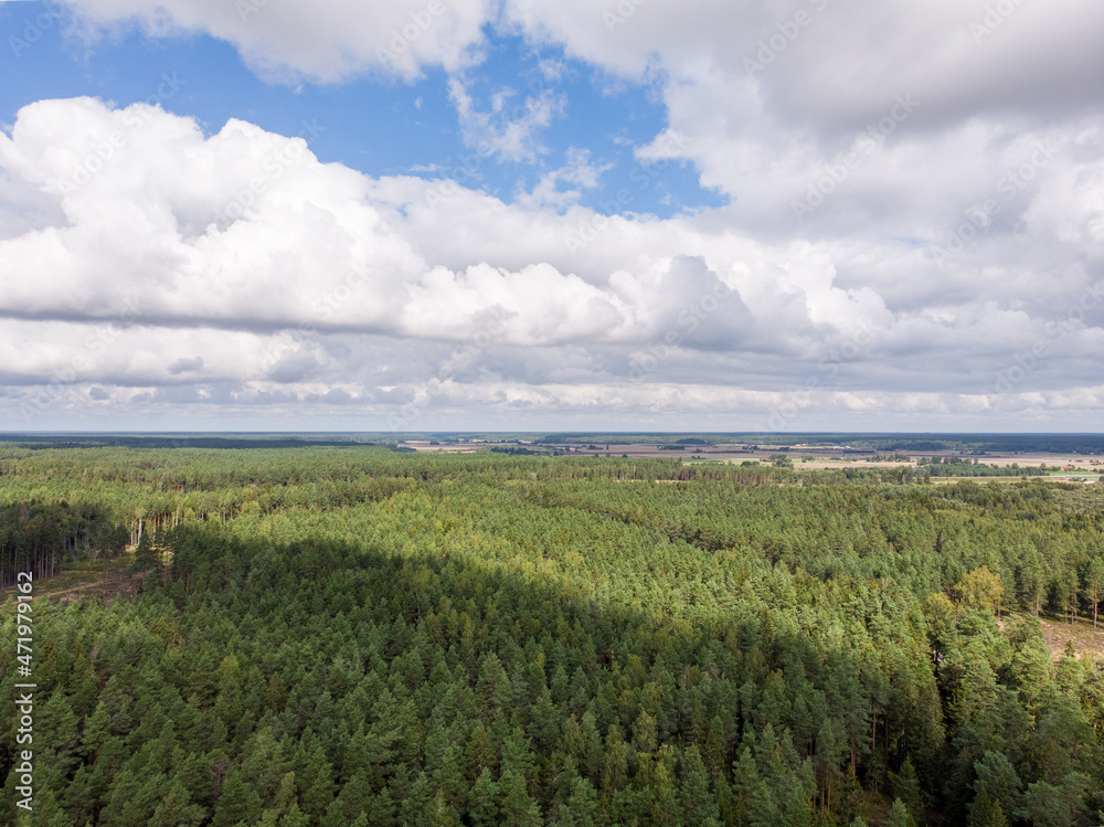 Areal drone photography view of beautiful countryside forest.