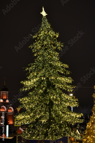 christmas tree of the night